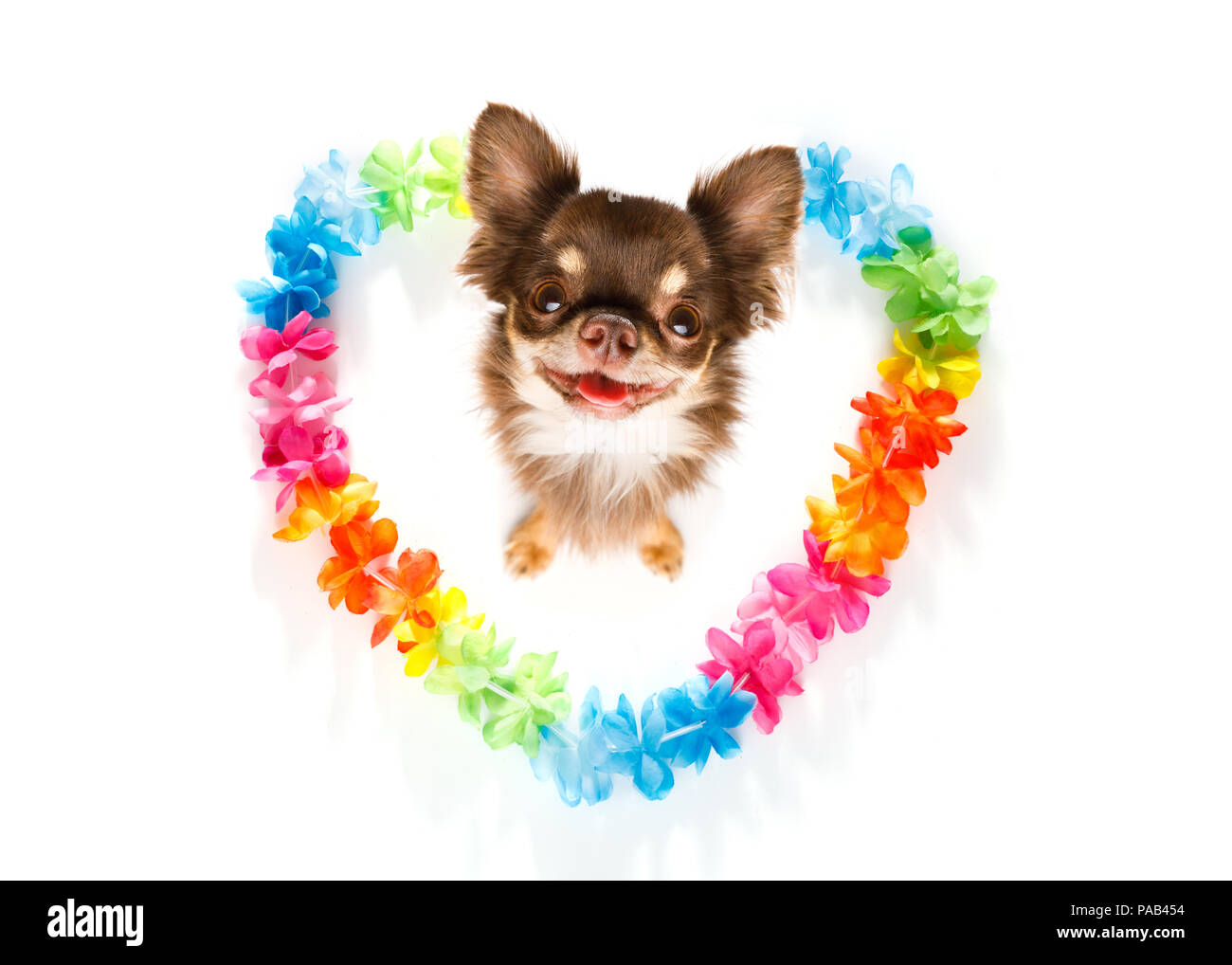 Valentine Chihuahua By Haris Kavalla - Buy Mouse Mat On Art WOW