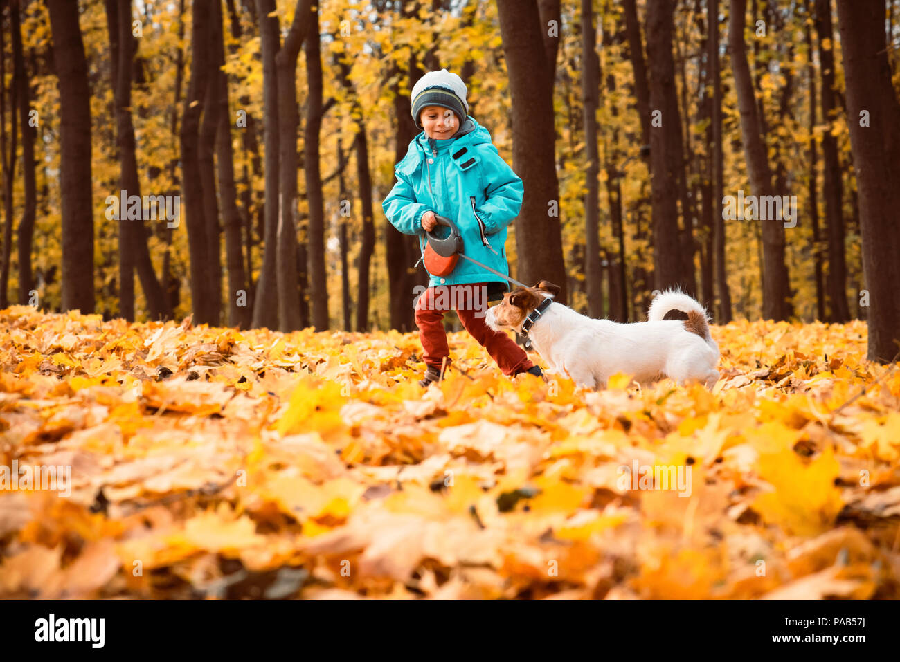 Kid boy walking and playing with dog on leash at outdoor autumn park Stock Photo