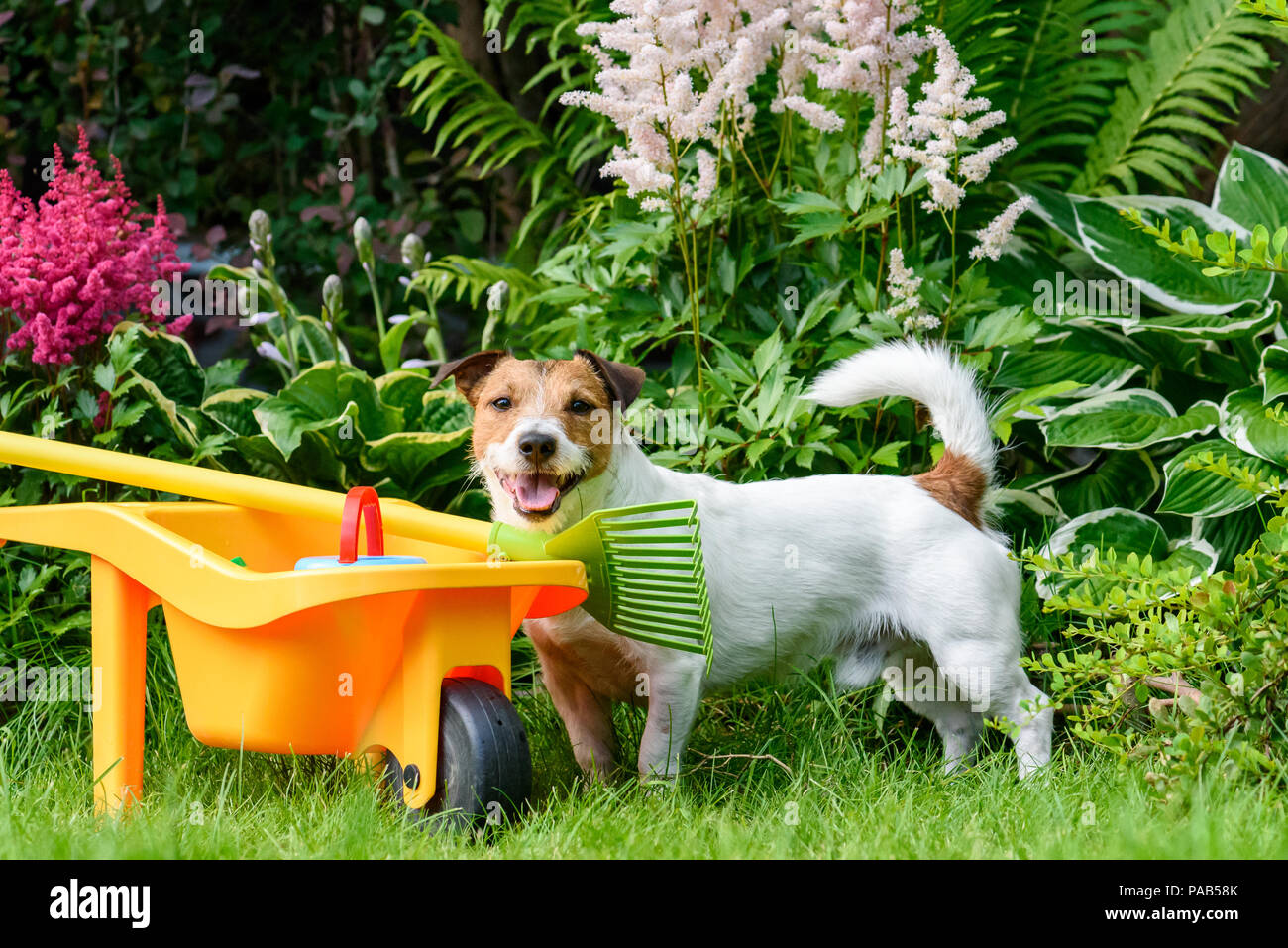 Children playing childrens farm hires stock photography and images Alamy