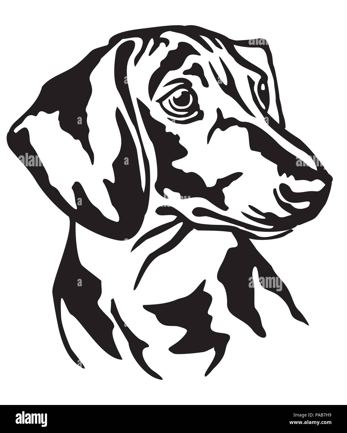 Dachshund dog drawing hi res stock photography and images Alamy