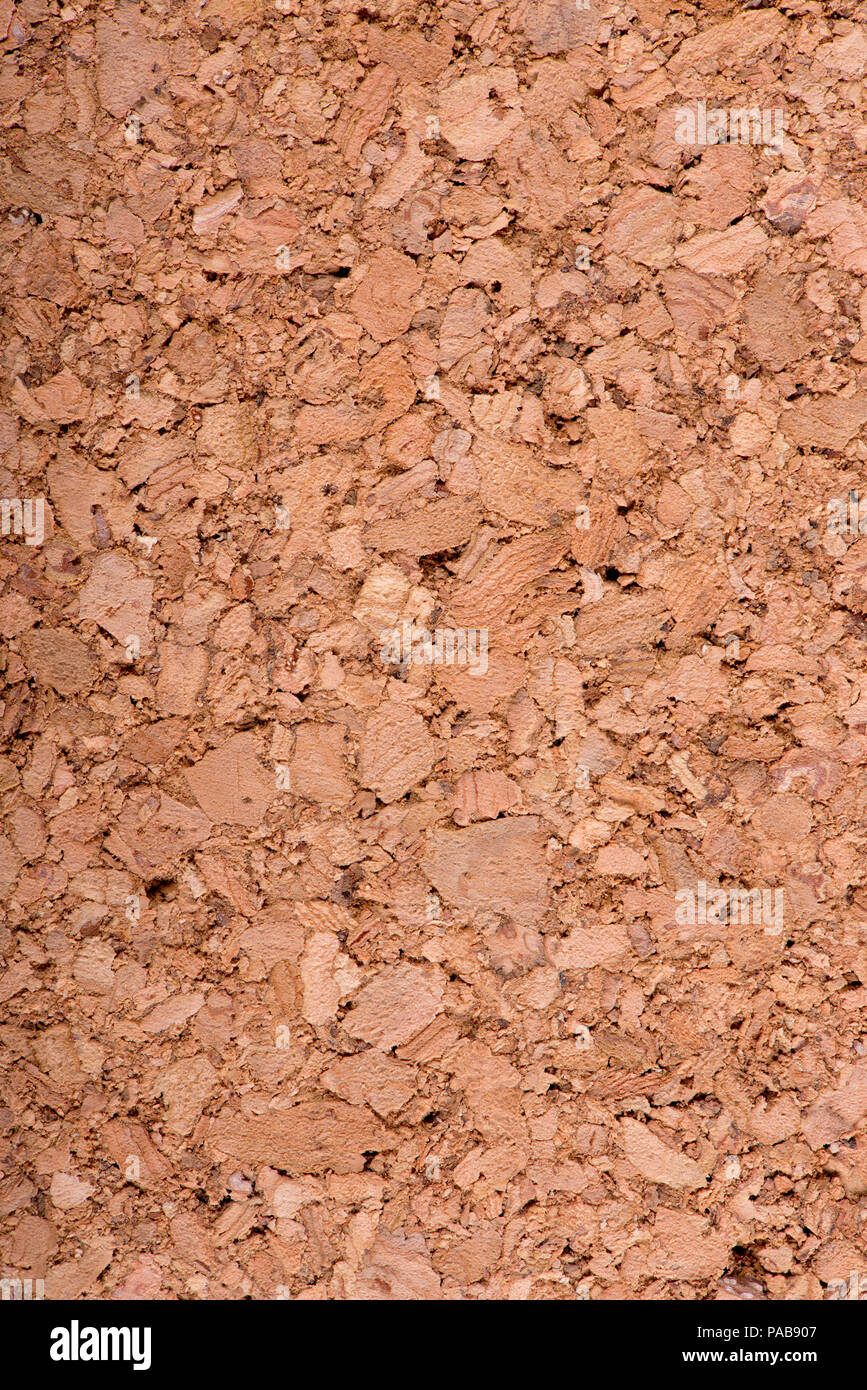 Natural pith a texture a background Stock Photo - Alamy