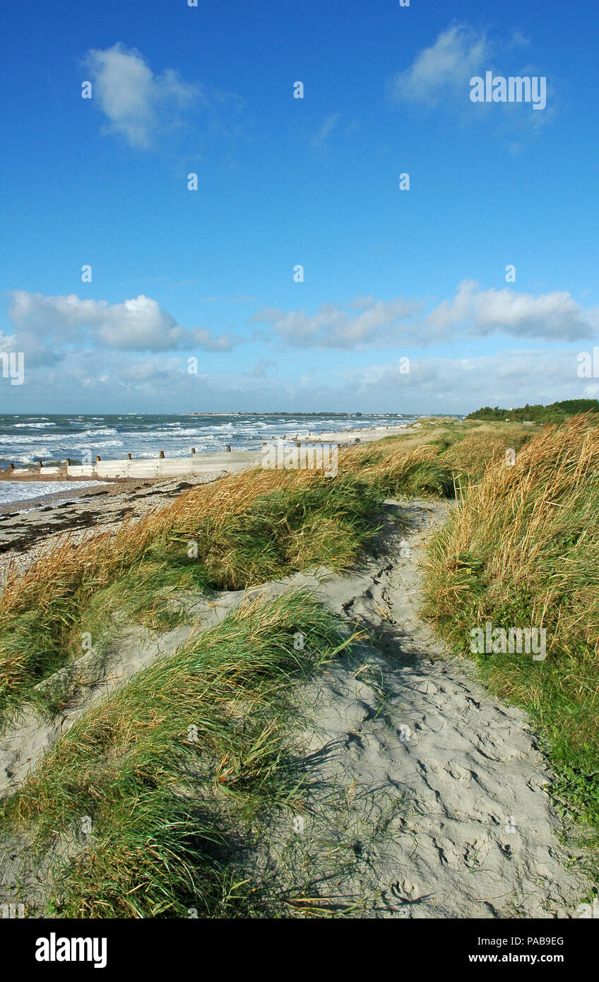 Pathway through dunes beach hi-res stock photography and images - Alamy