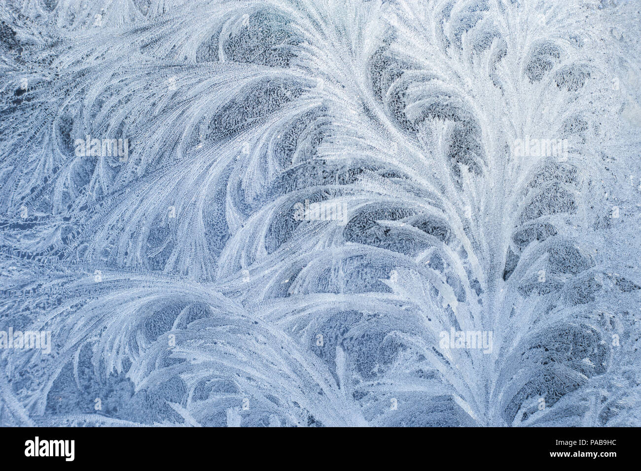 Frosty glass ice background, natural beautiful snowflakes. Frost ice pattern. Stock Photo