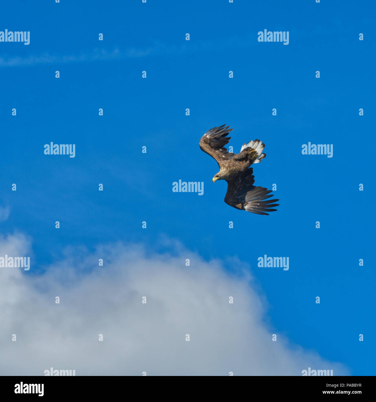My Image 25