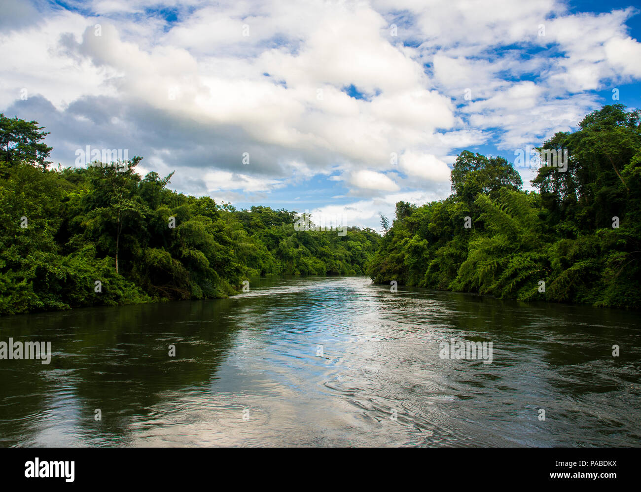 Green forest blue river hi-res stock photography and images - Alamy