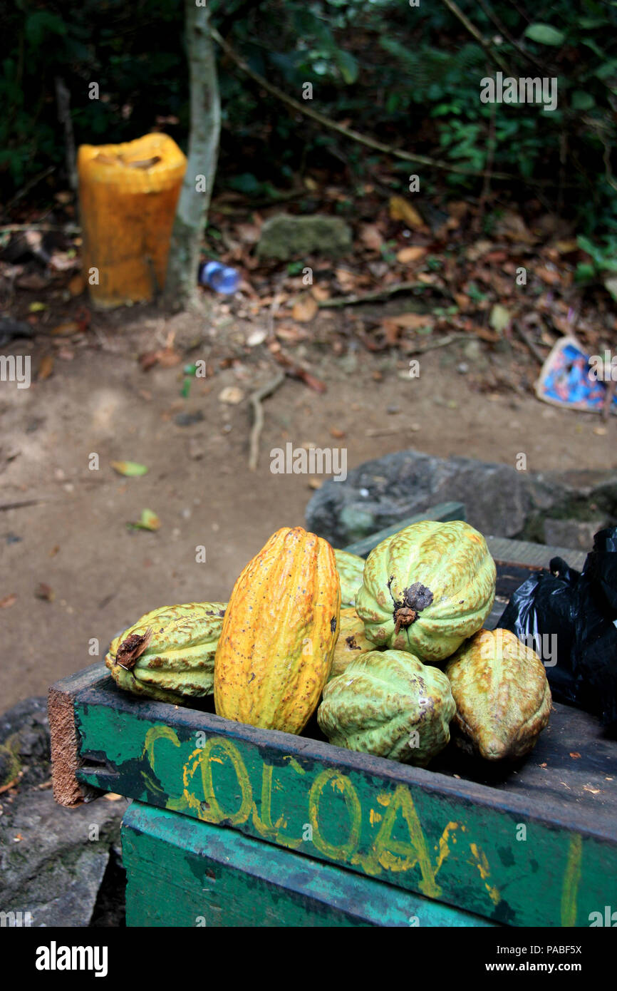 Cocoa beans for sale in Ghana Stock Photo Alamy