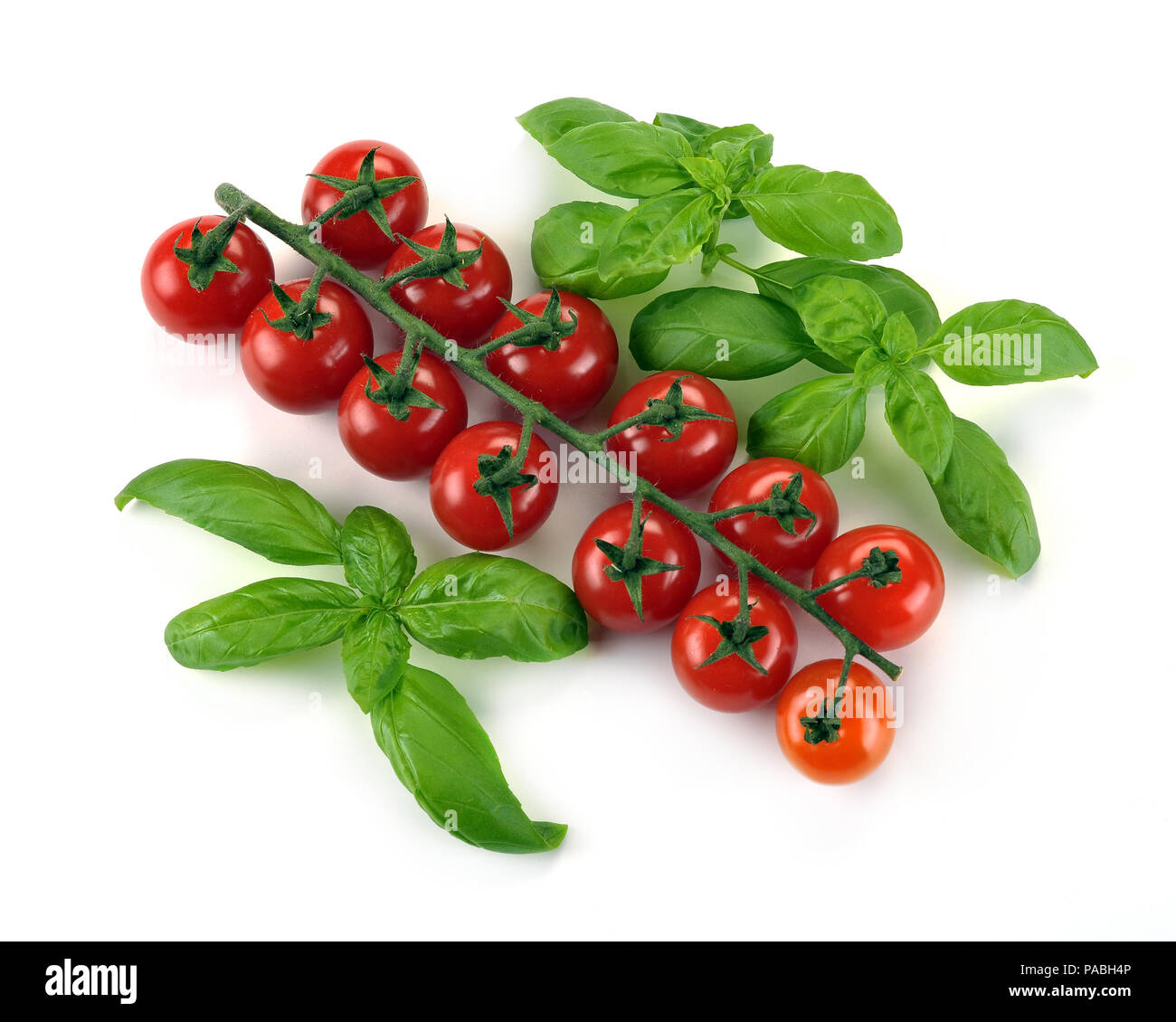 Leaves of basil and tomatoes cherry on a white background Stock Photo ...