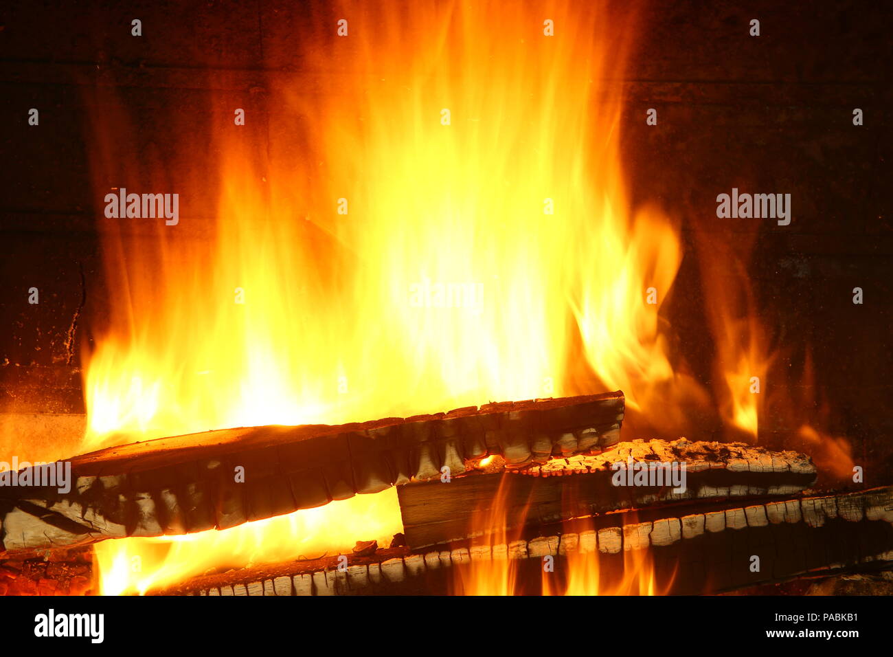 Fire wood Stock Photo