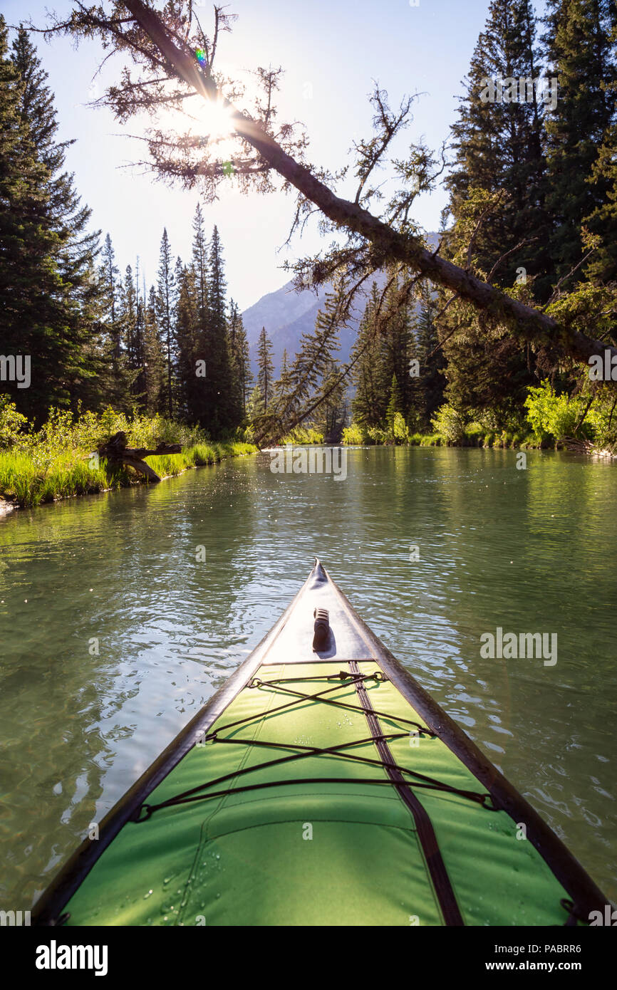 fure transmission krone Kayaking in a beautiful lake surrounded by the Canadian Nature Landscape.  Taken in Vermilion Lakes, Banff, Alberta, Canada Stock Photo - Alamy