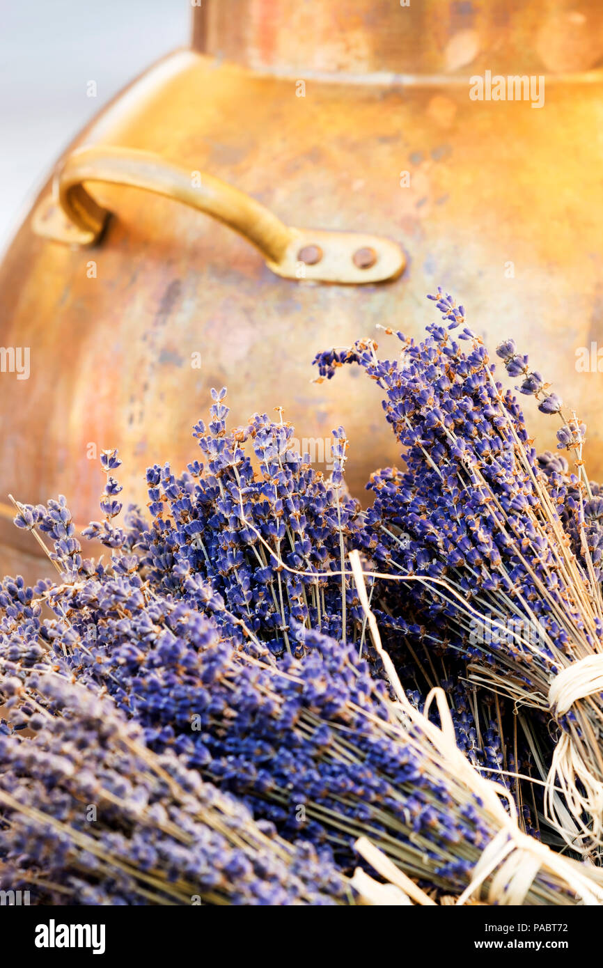 Copper cauldron and lavender, Hungary ( Tihany ) Stock Photo