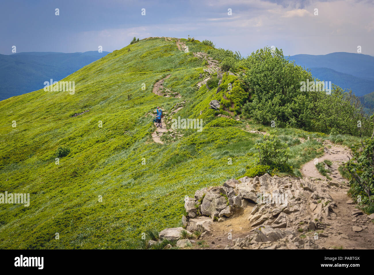 View from Osadzki Wierch Mount on the Wetlina High Mountain Pasture in Western Bieszczady Mountains in Poland Stock Photo