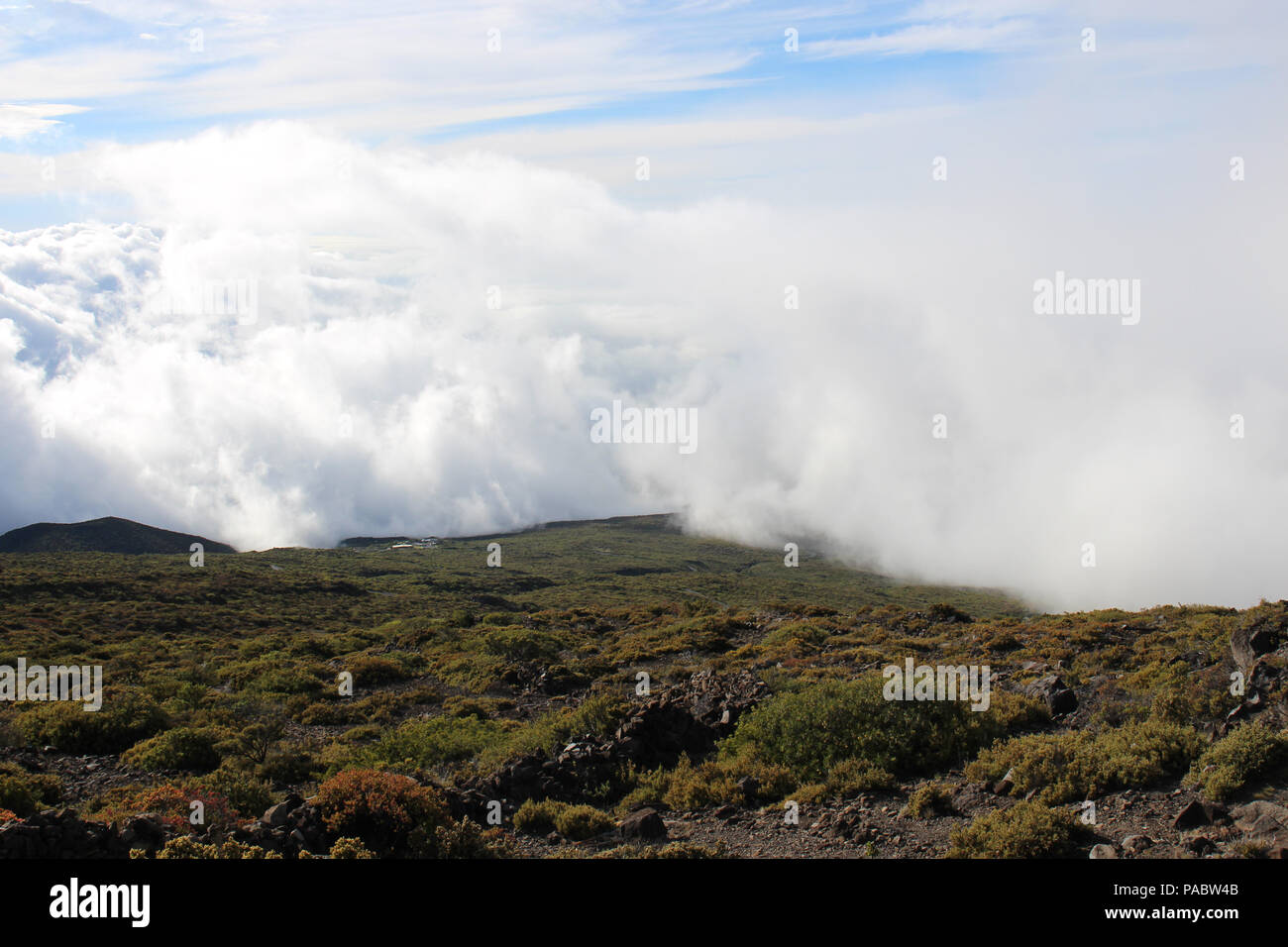 Hiking in the clouds on Leleiwi Overlook Trail in Haleakala National Park, Kula, Maui, Hawaii
