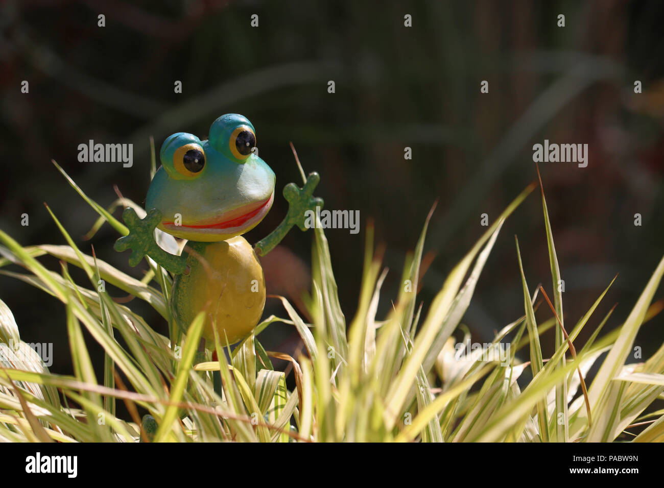 A plastic garden ornament that looks like a characterised frog Stock Photo
