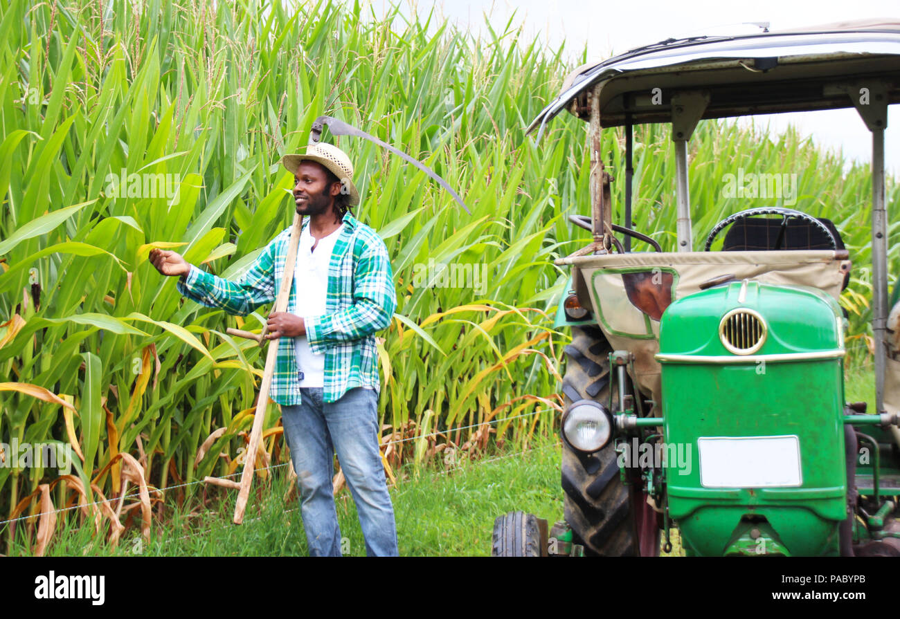 Inspecting village hi-res stock photography and images - Alamy