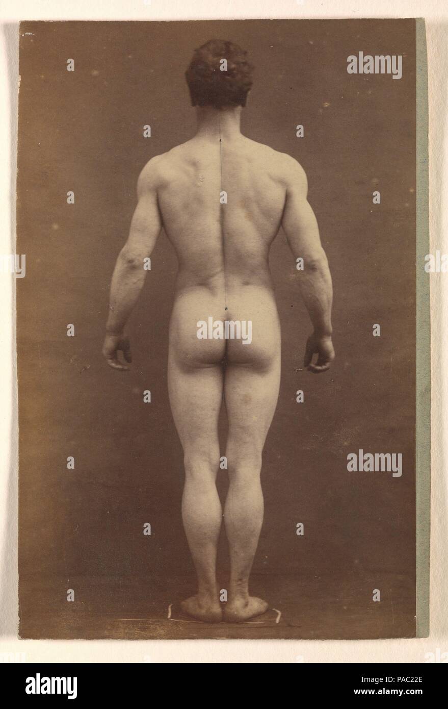 [Male Musculature Study]. Artist: Albert Londe (French, 1858-1917); Paul Marie Louis Pierre Richer (French, 1849-1933). Dimensions: Image: 14.9 x 9.6 cm (5 7/8 x 3 3/4 in.)  Mount: 14.9 x 9.9 cm (5 7/8 x 3 7/8 in.). Date: ca. 1890.  Author of a treatise on the importance of the camera in medical practice, Albert Londe declared, 'the photographic plate is the scientist's true retina.' In collaboration with a laboratory director and professor of anatomy at the École des Beaux-Arts, Londe found that photographs intended for physiological analysis could also serve artistic applications. Their care Stock Photo