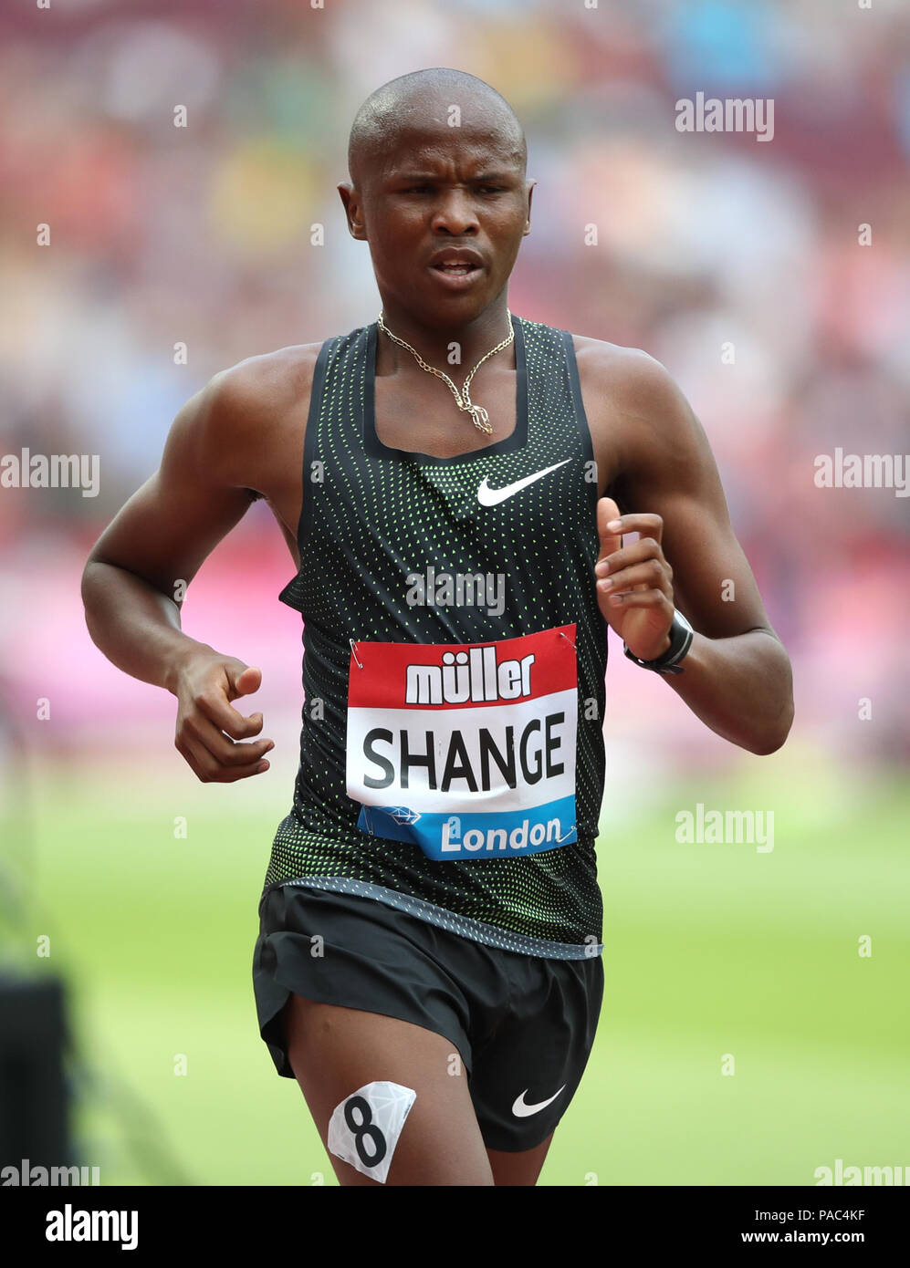 The Keeper of the Flame: Cynthia Shange and the Quiet Crisis of Cultural Memory