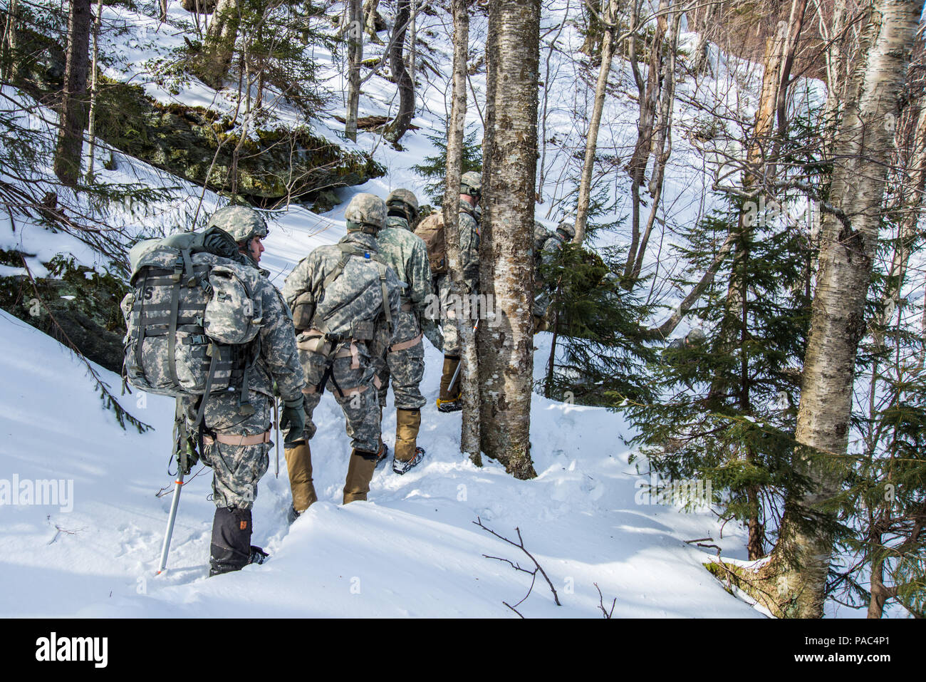 U.S. Soldiers with Alpha Company, 3rd Battalion, 172nd Infantry ...