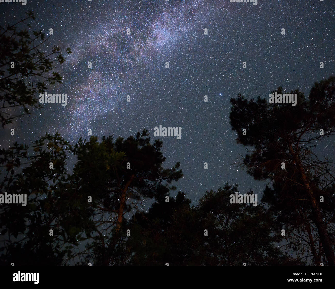 Milky Way in the night sky over the forest Stock Photo - Alamy