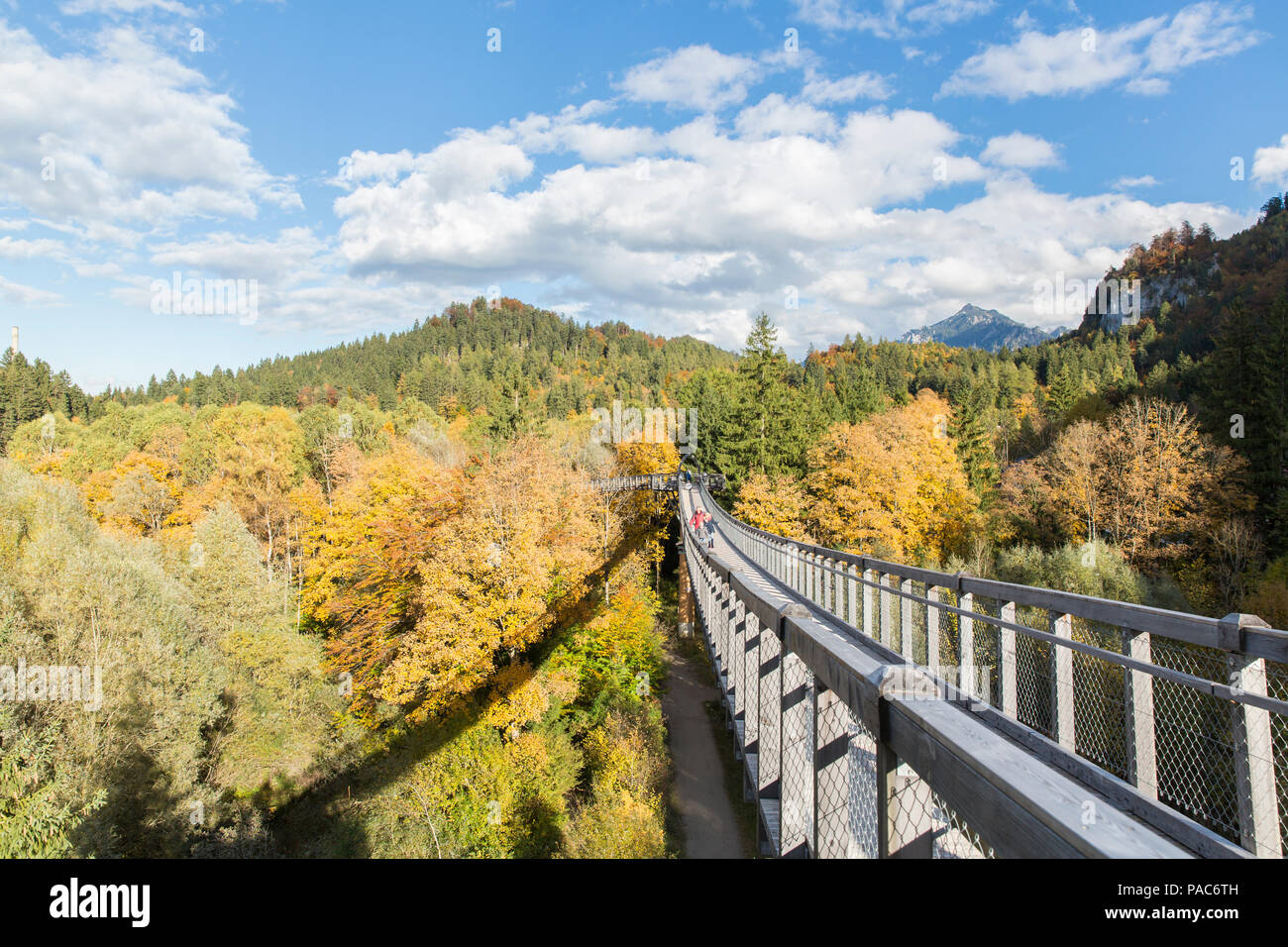 Treetop walk over the autumn forest at Forest Experience Centre Ziegelwiesen, Füssen, Bavaria, Germany Stock Photo