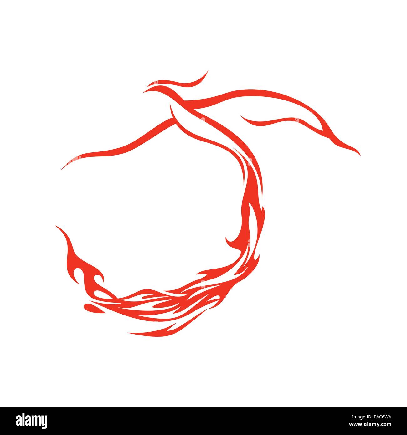 Fire Tail Phoenix Flying Vector Symbol Graphic Logo Design Template Stock Vector