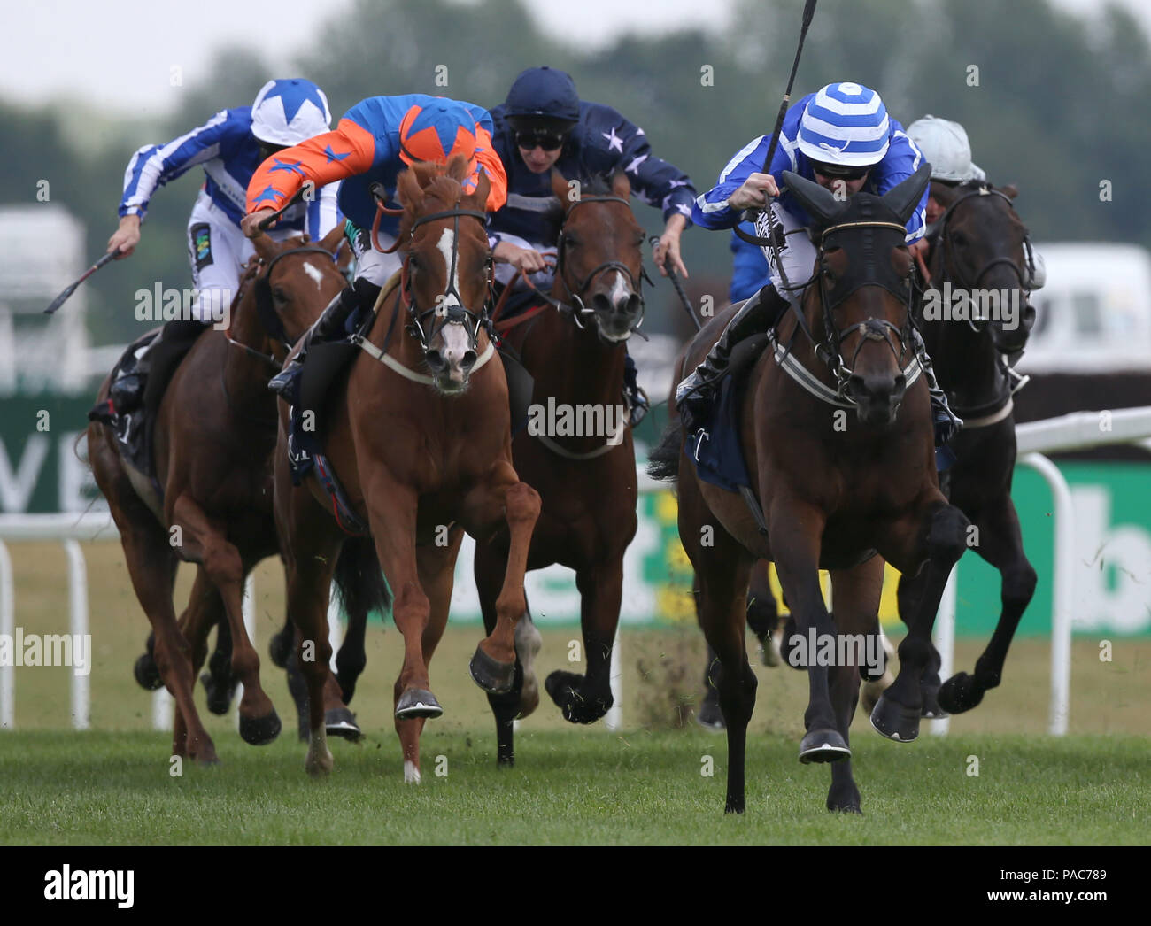 Stratum ridden by Robert Winston (right) lead the field home to win The JLT Cup run during Weatherbys Super Sprint Day at Newbury Racecourse, Newbury. Stock Photo