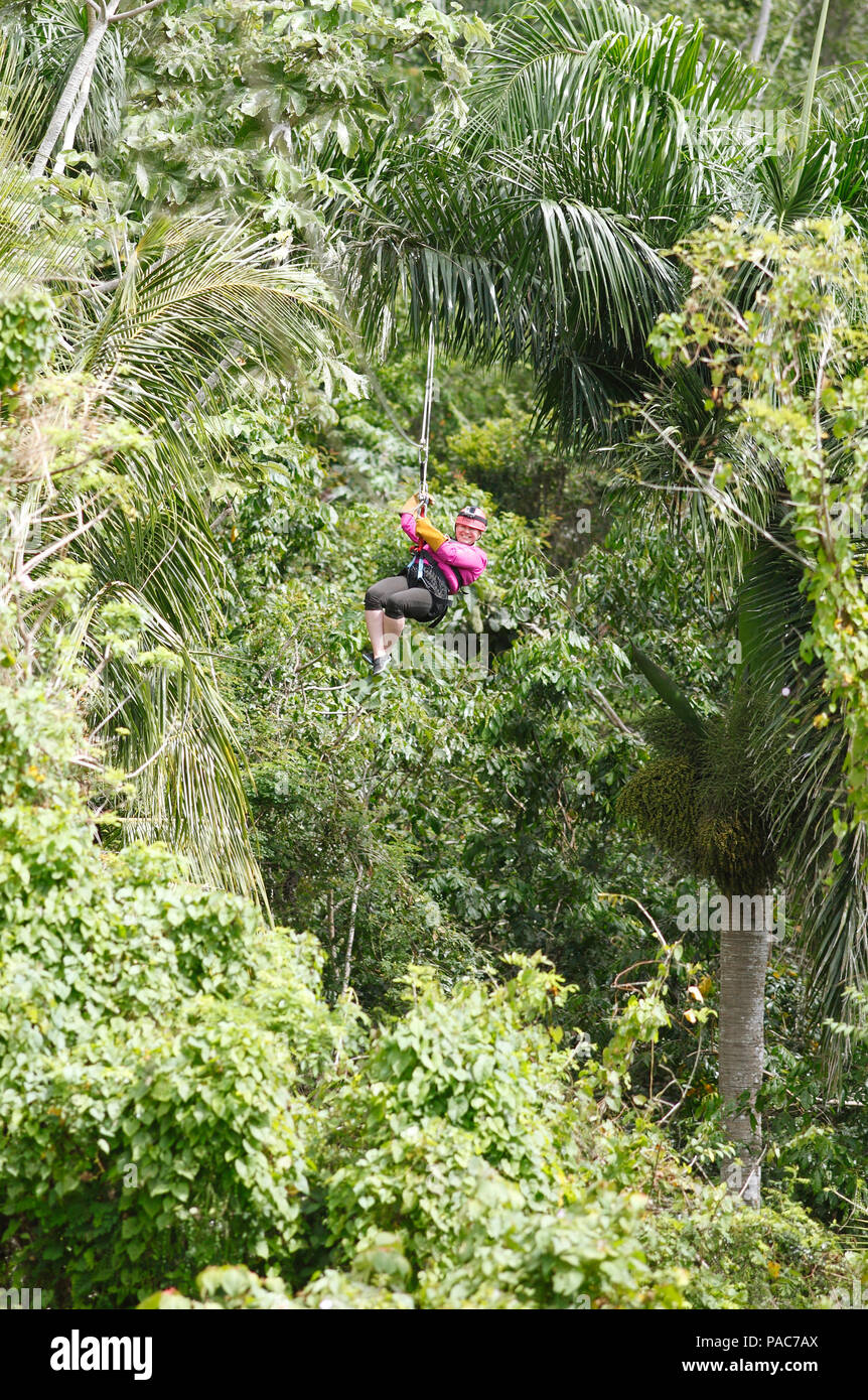 Woman, 40, riding a zipline through the jungle, Samaná province ...