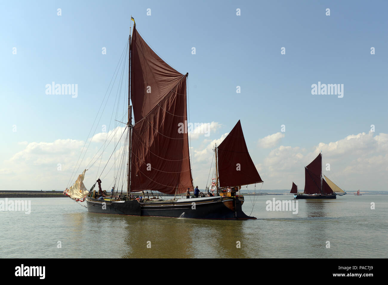 The 2018 Thames Barge race run by the association of Bargeman. The race set off at 10am to the sound of a cannon and charts a return course from Grave Stock Photo