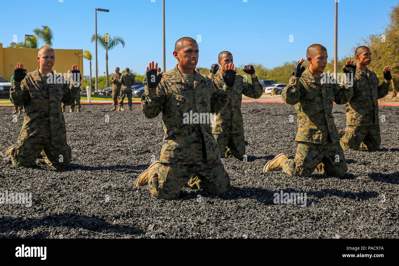 Recruits of Delta Company, 1st Recruit Training Battalion, conduct ...