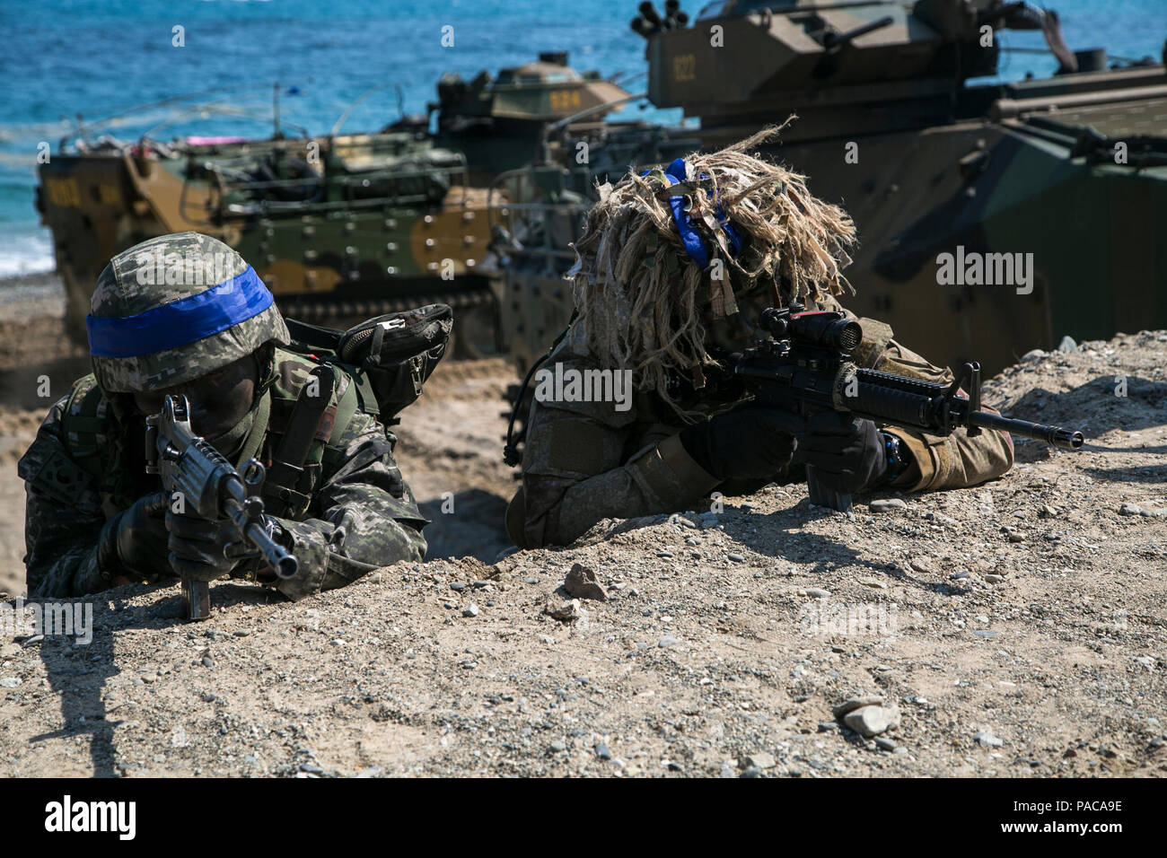 U.S. Marine Corps, Republic of Korea Marines Corps, New Zealand Army ...