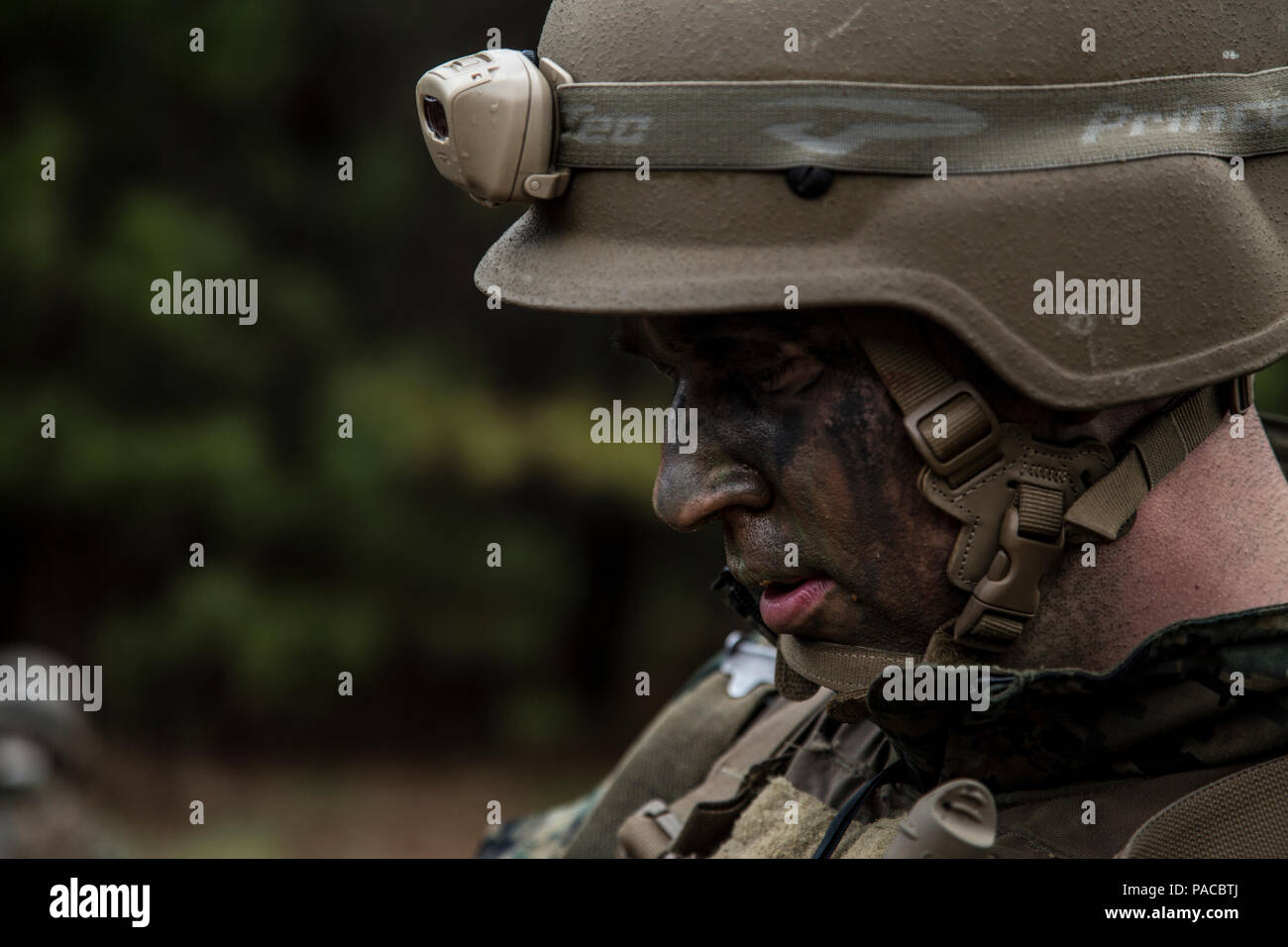 A U.S. Navy Corpsman assigned to Field Medical Training Battalion East (FMTB-E), counts his ammunition during a final exercise (FINEX) at Camp Johnson, N.C., March 2, 2016. FINEX is a culminating event at FMTB-E which transitions Sailors into the Fleet Marine Force. (U.S. Marine Corps photo by Sgt. James R. Skelton/Released) Stock Photo