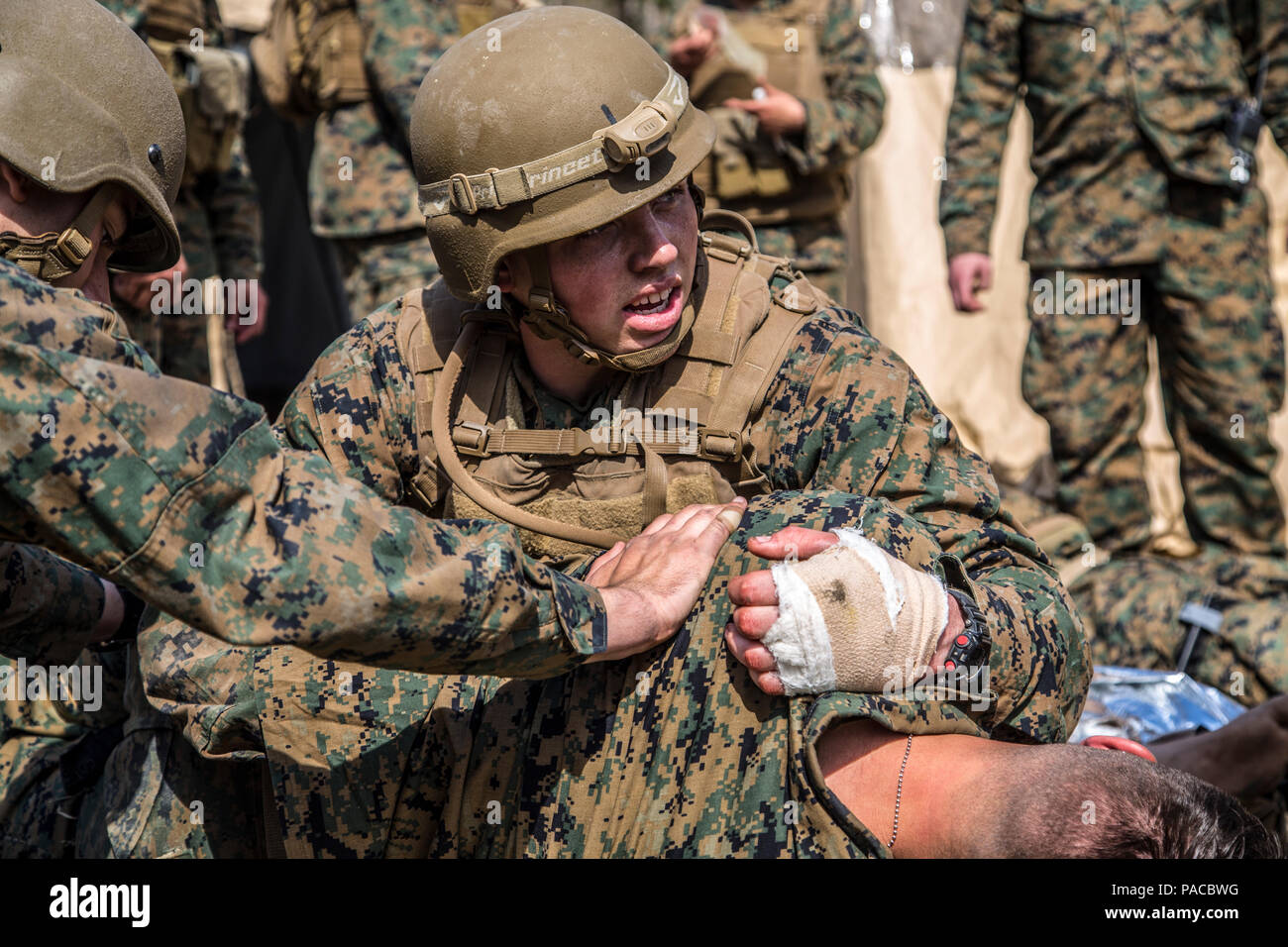 U.S. Navy Corpsmen assigned to Field Medical Training Battalion East (FMTB-E), tend to a simulated casualty during a final exercise (FINEX) at Camp Johnson, N.C., March 2, 2016. FINEX is a culminating event FMTB-E which transitions Sailors into the Fleet Marine Force. (U.S. Marine Corps photo by Sgt. James R. Skelton/Released) Stock Photo