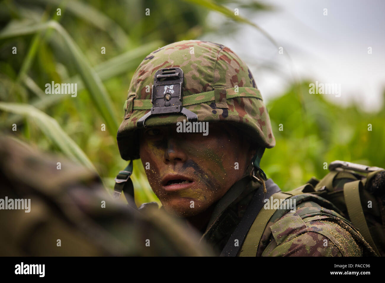 A Japan Ground Self-Defense Force member provides security Mar. 11, at Kin  Blue, Okinawa, Japan. The JGSDF observed U.S. Marines with 3rd  Reconnaissance Battalion, 3rd Marine Division, III Marine Expeditionary  Force, conducting