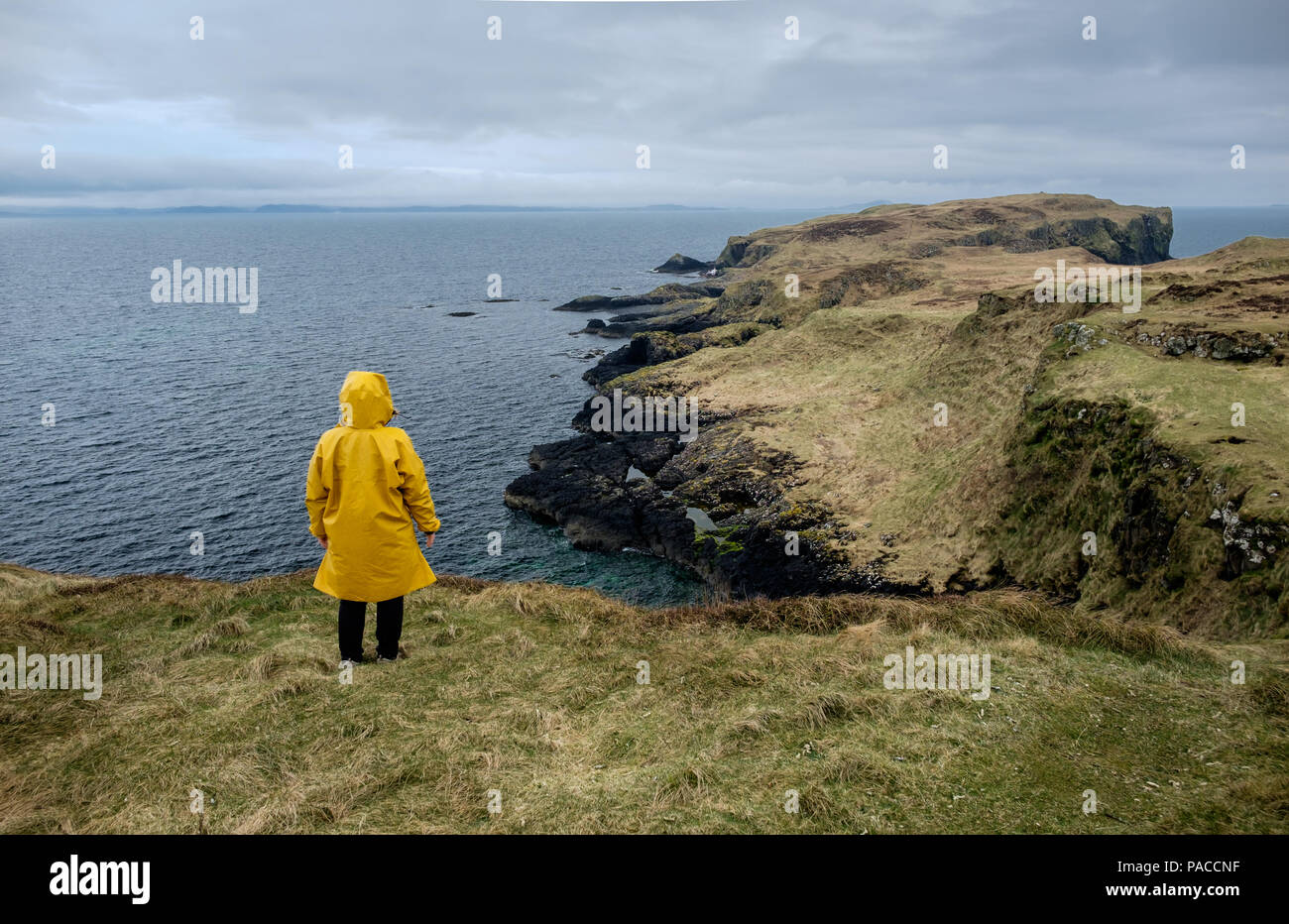 yellow oilskin jacket