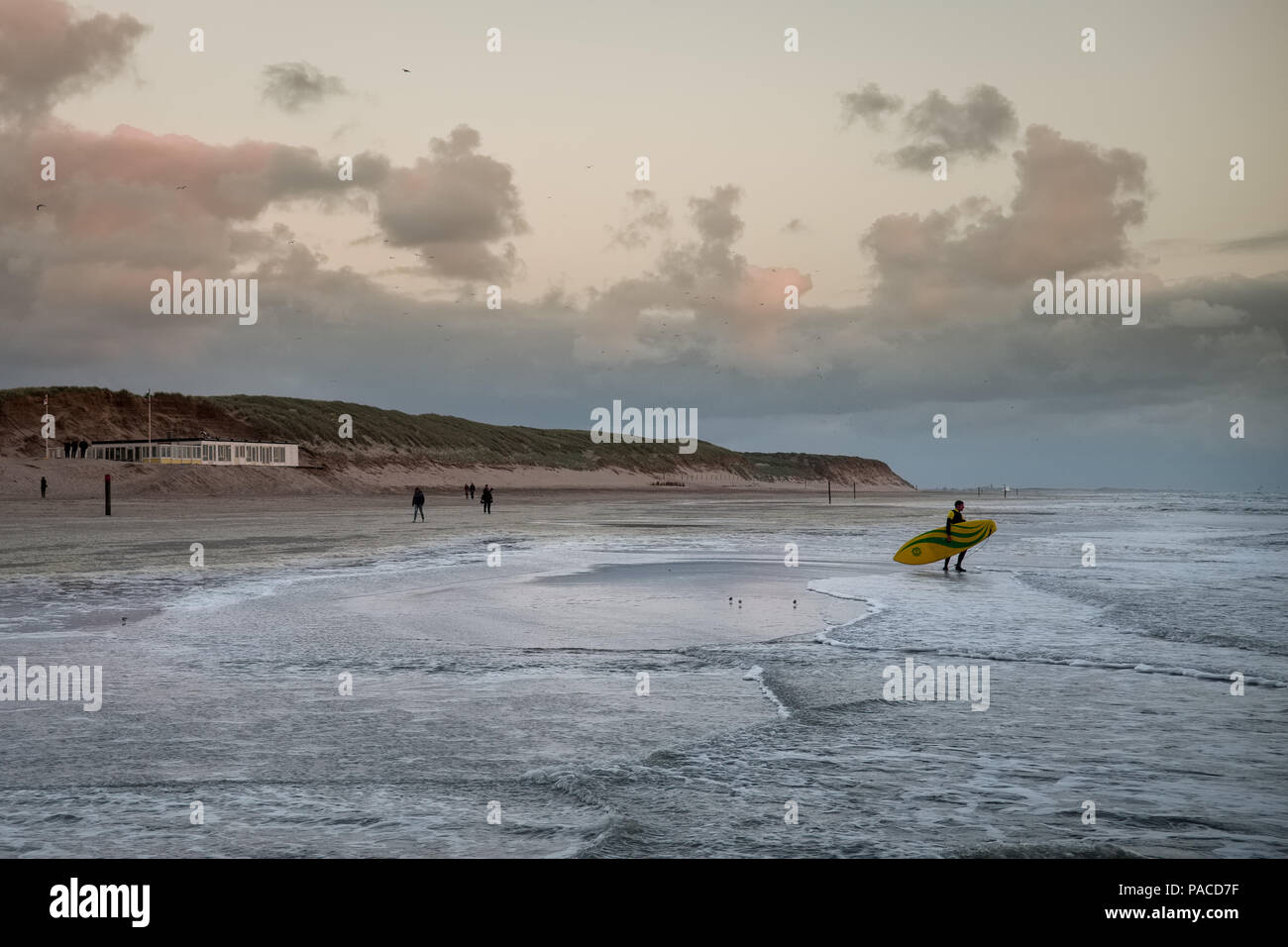 A surfer on a beach in Texel during sunset Stock Photo