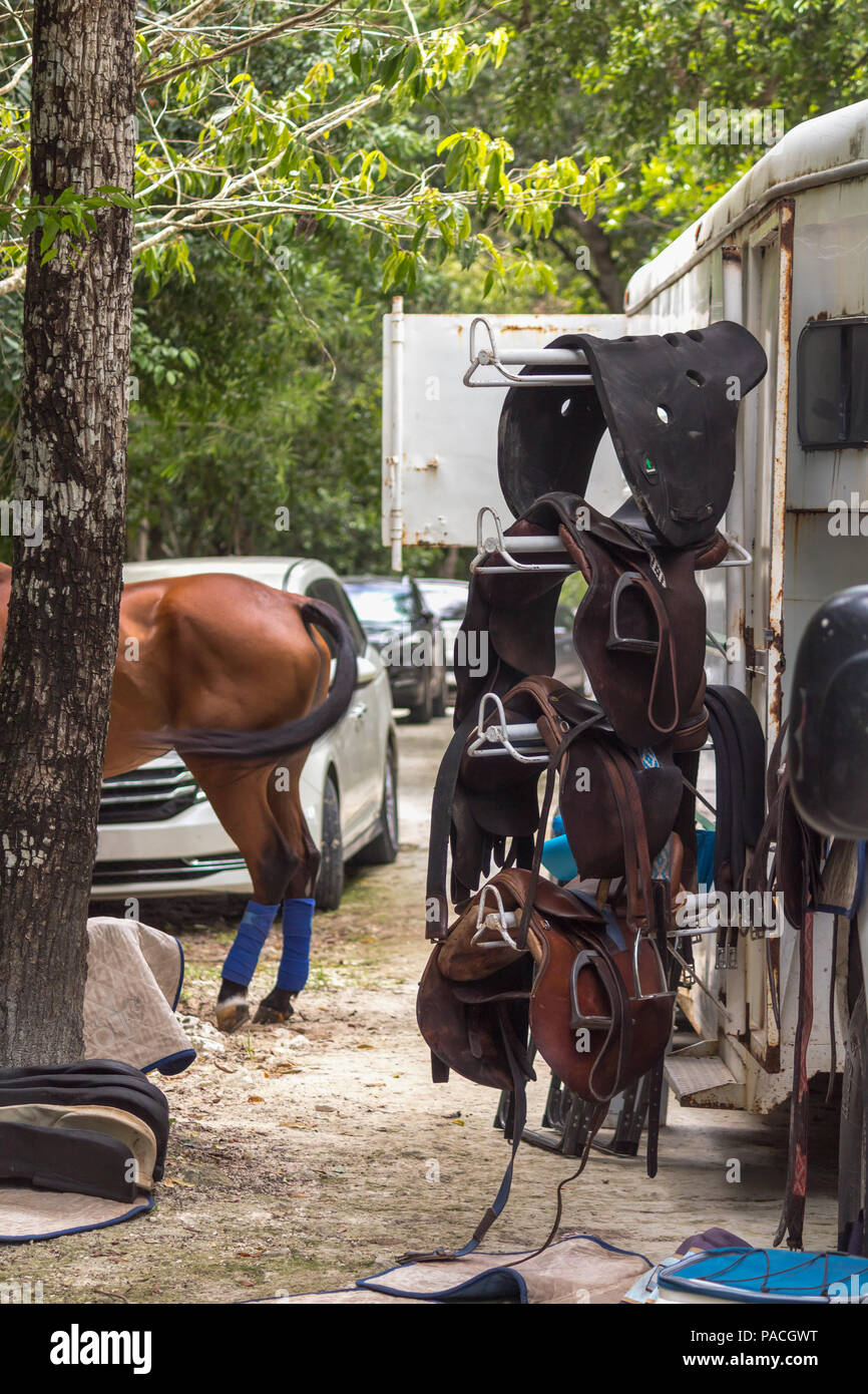 Polo saddles. Backstage at polo match. Trucks carrying horses and