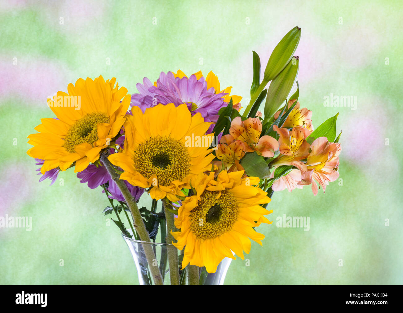 Attractive  bouquet arrangement of multi colored flowers in clear glass vase Stock Photo