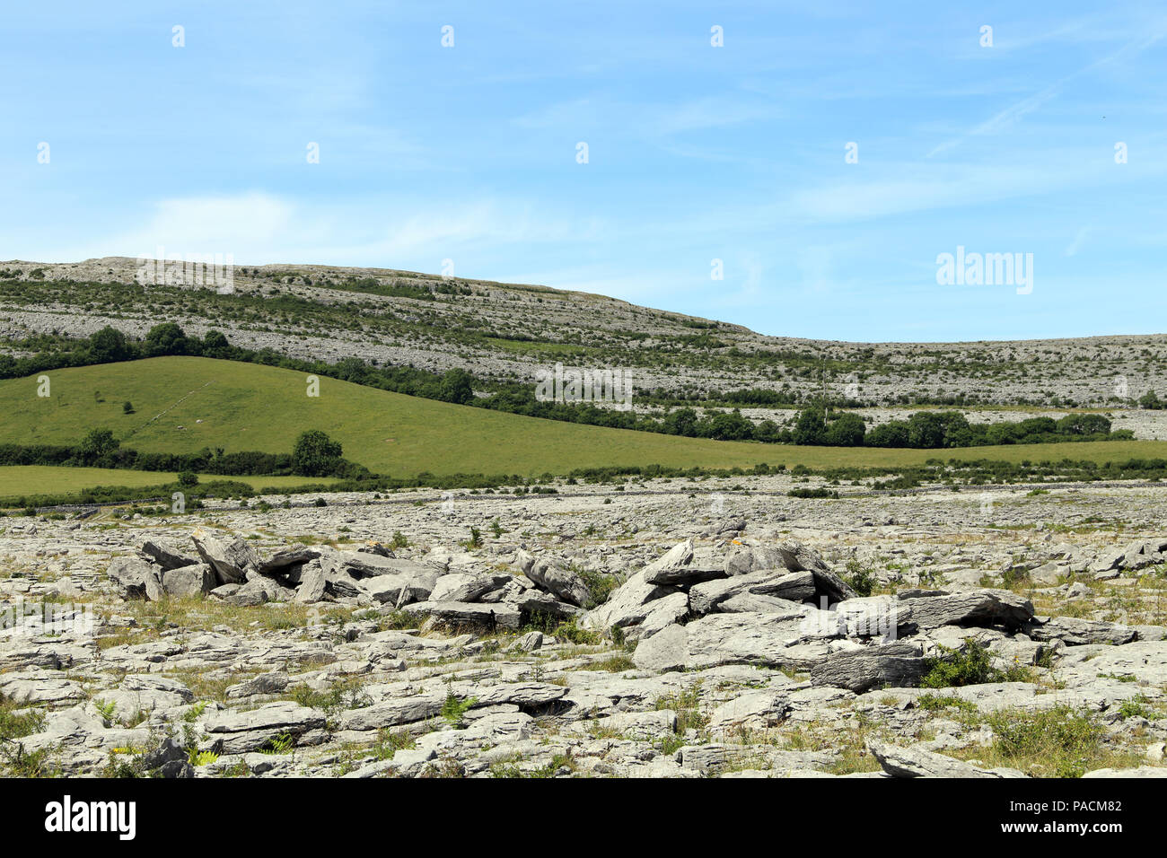 The Burren  'great rock'  is a region of environmental interest primarily located in northwestern County Clare, Ireland, dominated by glaciated karst  Stock Photo