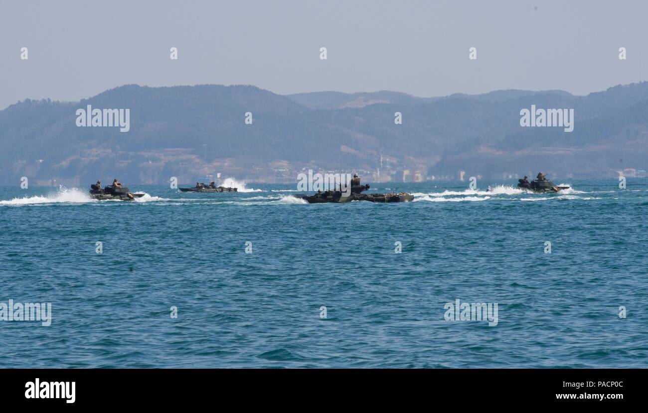 160312-N-RM689-069 EAST SEA (March 12, 2016) - Amphibious assault vehicles (AAV), attached to the 31st Marine Expeditionary Unit (MEU) aboard amphibious dock landing ship USS Ashland (LSD 48), drive in the waters near Ashland during the amphibious capabilities exercise of Ssang Yong 16 (SY 16). Ashland is assigned to the Bonhomme Richard Expeditionary Strike Group and is participating in SY 16, a biennial combined amphibious exercise conducted by forward-deployed U.S. forces with the Republic of Korea navy and Marine Corps, Australian army and Royal New Zealand army forces in order to strength Stock Photo