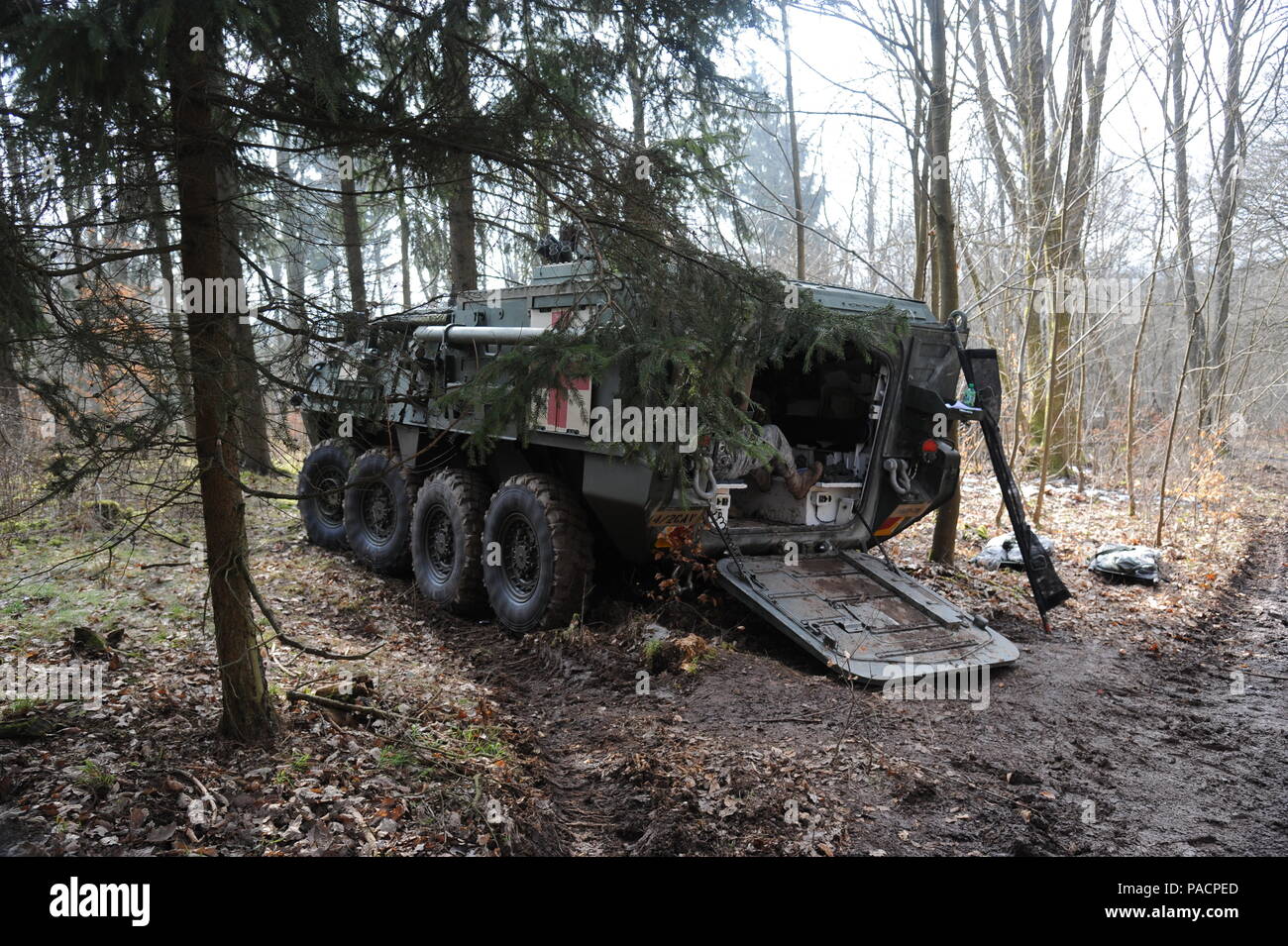 A M1133 Stryker, Medical Evacuation Vehicle of the 2nd Stryker Cavalry Regiment on the Baumholder Maneuver Training Area 'H' during the U.S. Army Europe Expert Field Medical Badge Competition serves as the vehicle where candidates will load their litters onto. 195 candidates from U.S. forces in Europe, including 24 participants from seven NATO allies, are competing in the five-day challenge, at Lager Aulenbach, Germany, March 11-24, 2016. The test is a rigorous evaluation of mental and physical skills in soldier and medical tasks requiring a high degree of ability and focus. Passing rates rang Stock Photo