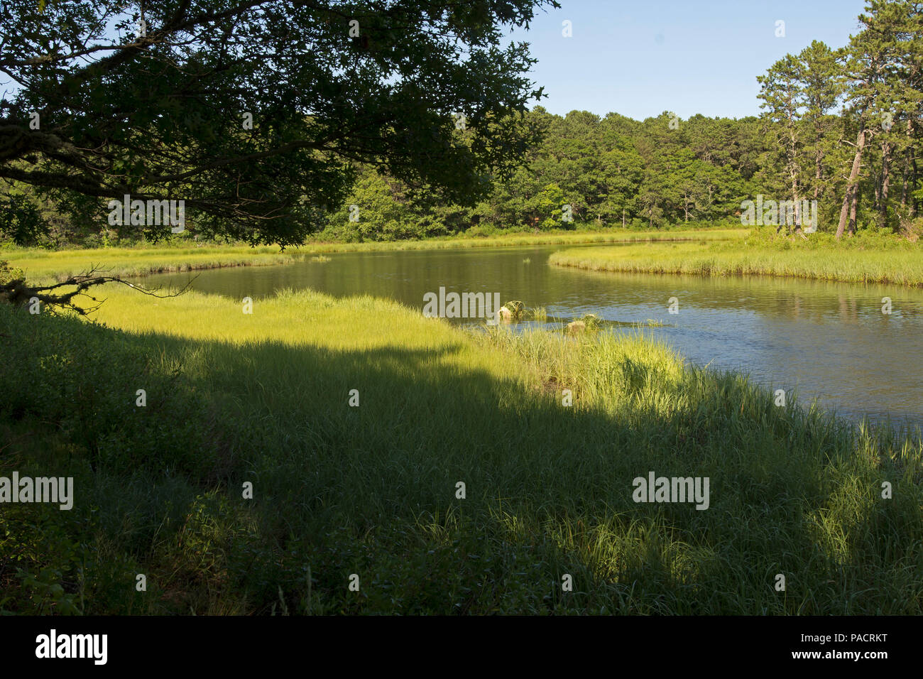 Conservation and historic former Indian Lands in South Dennis, Massachusetts on Cape Cod, USA Stock Photo