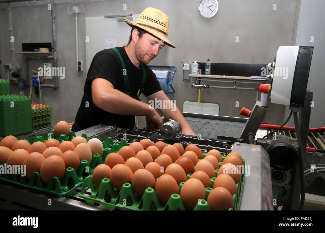 Huettenrode, Germany. 14th July, 2018. Young farmer Michael Haege puts eggs in egg crates. He operates an organic chicken coop in the Harz. Haege is the first farmer in Saxony-Anhalt, who profits from a funding for young farmers. Credit: Peter Förster/dpa-Zentralbild/dpa/Alamy Live News Stock Photo