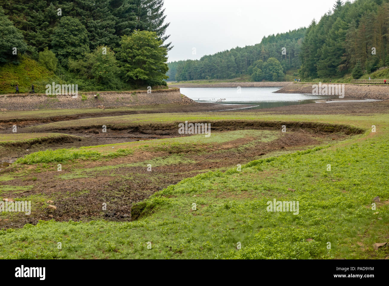 Bolton, UK 22nd July 2018 : Prolonged hot weather and lack of rain causing low water levels in Entwistle and Wayoh reservoirs ahead of the imminent hosepipe ban on 5th August in Bolton, Lancashire, UK. Stock Photo