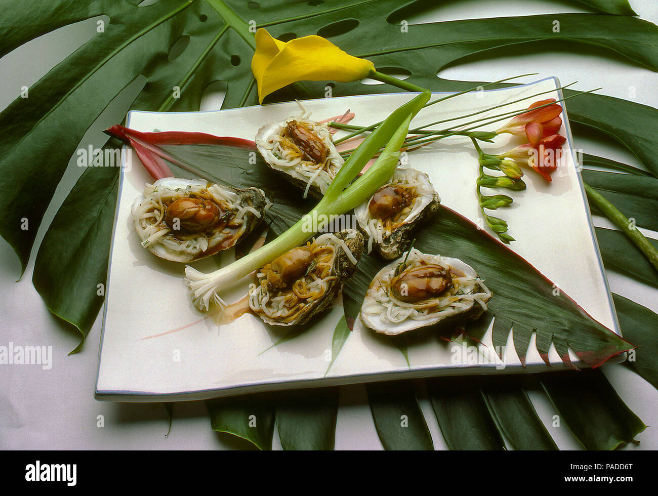Oysters on half shell Stock Photo