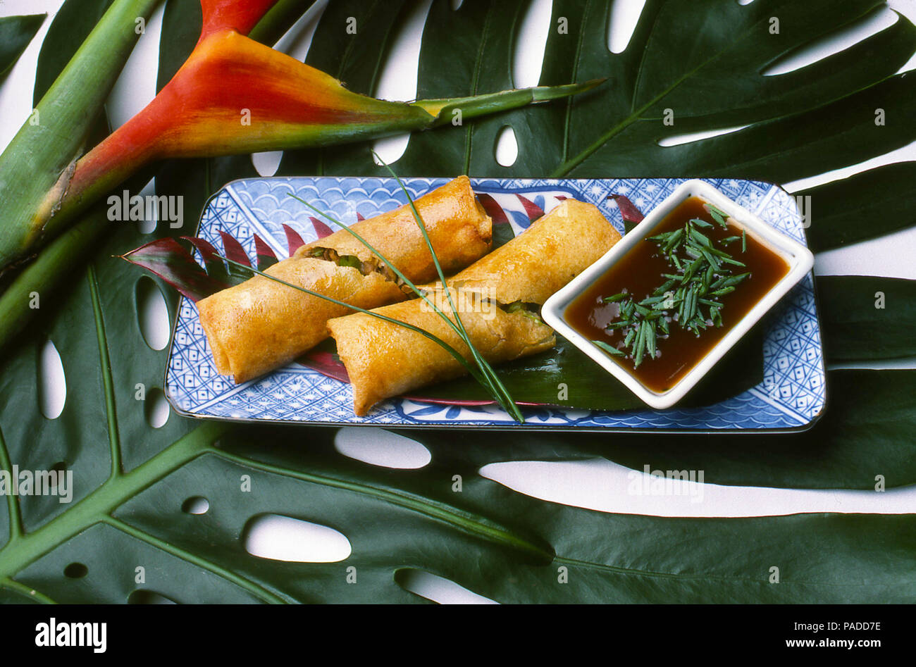 Oriental Spring Rolls Stock Photo