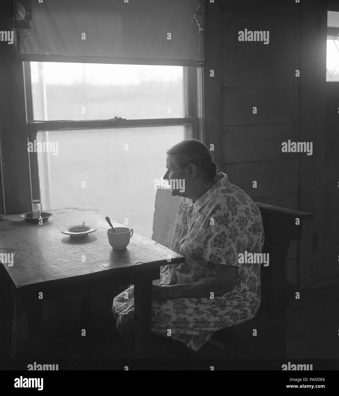 Abandoned car dealership Stock Photo Alamy