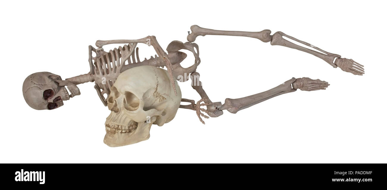 Skeleton Laying with Skull - path included Stock Photo