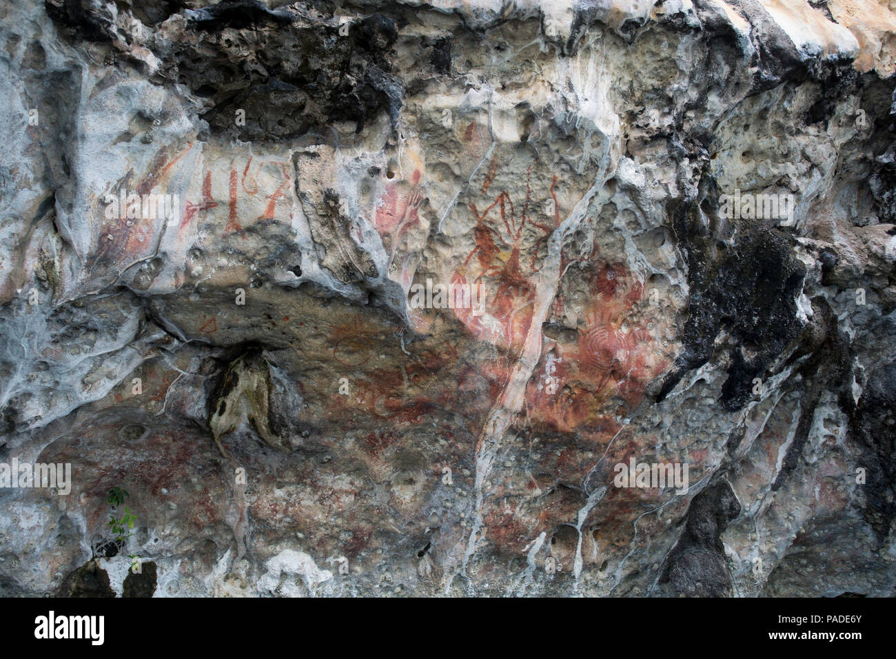 Cave drawings in Dwars In Den Weg, Indonesia Stock Photo