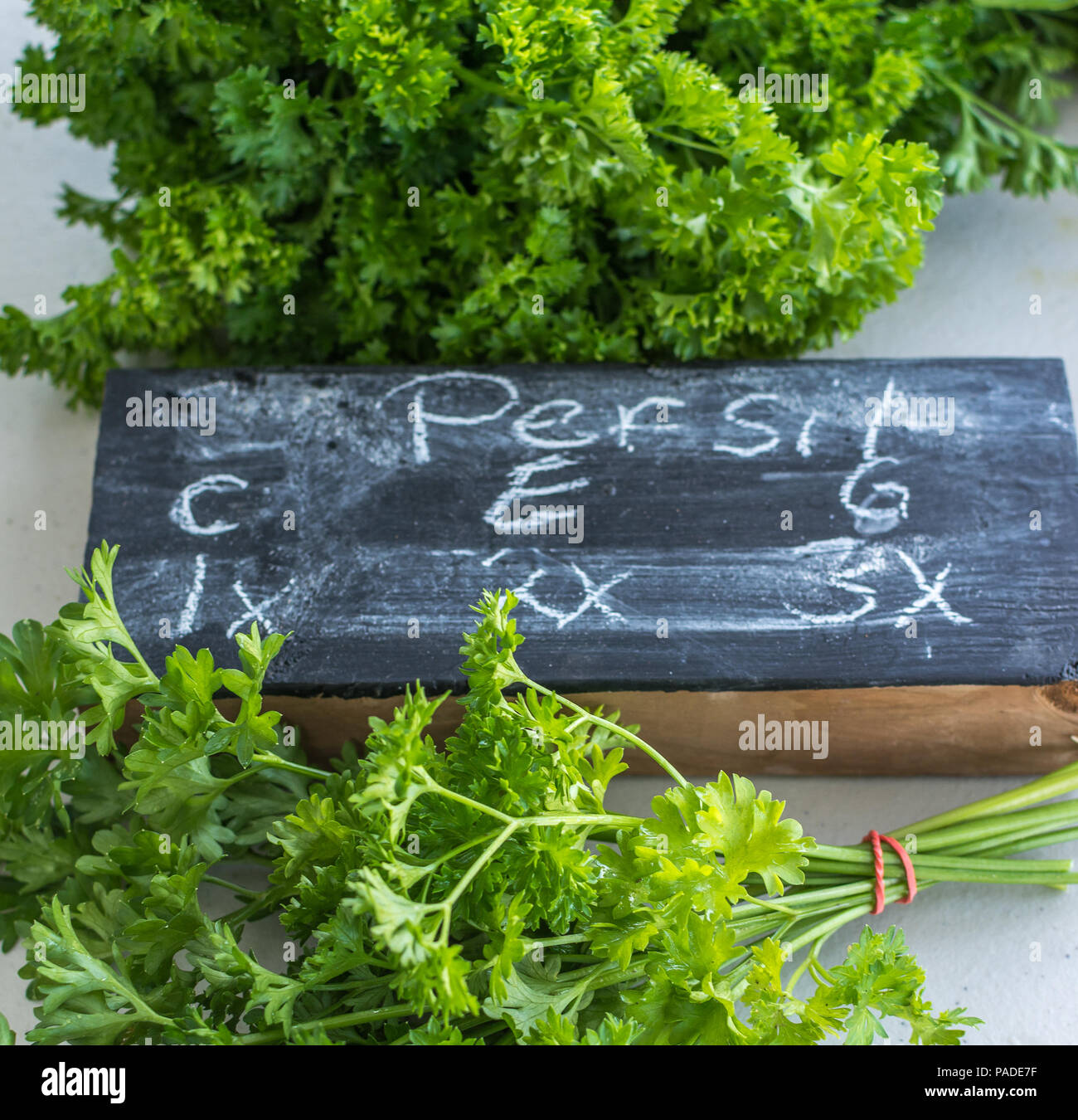 Parsley Family High Resolution Stock Photography and Images Alamy
