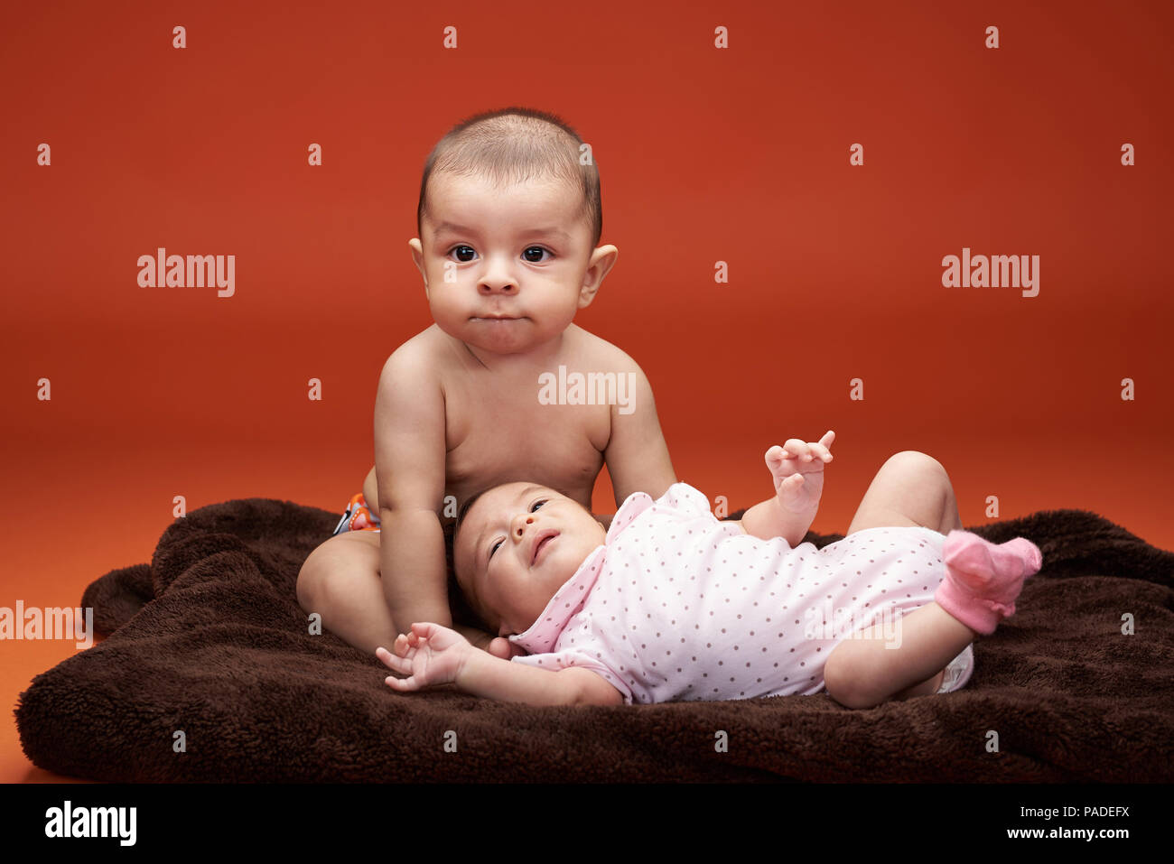 Older baby take over small baby girl isolated on orange color background Stock Photo