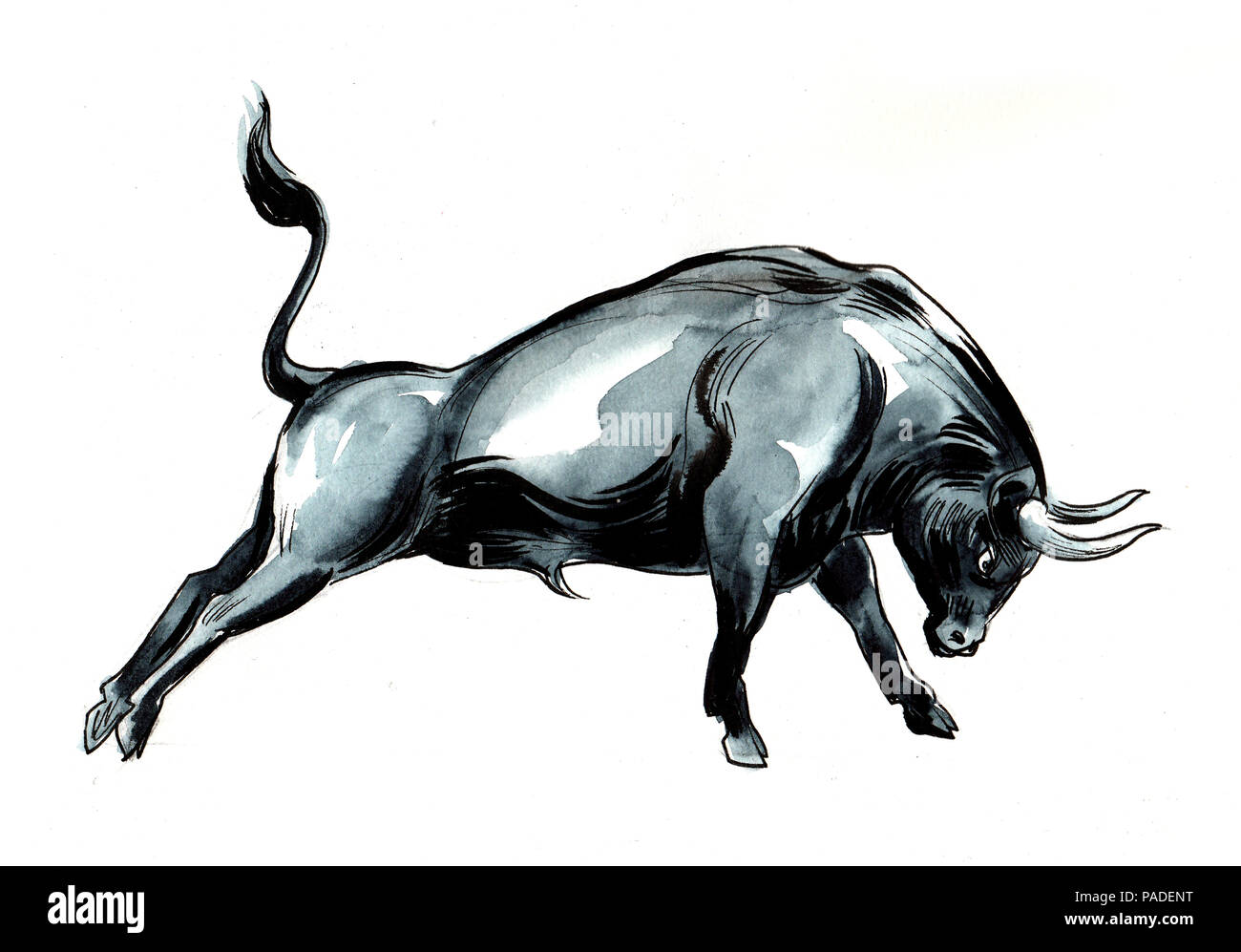 Big black bull. Ink and watercolor illustration Stock Photo Alamy